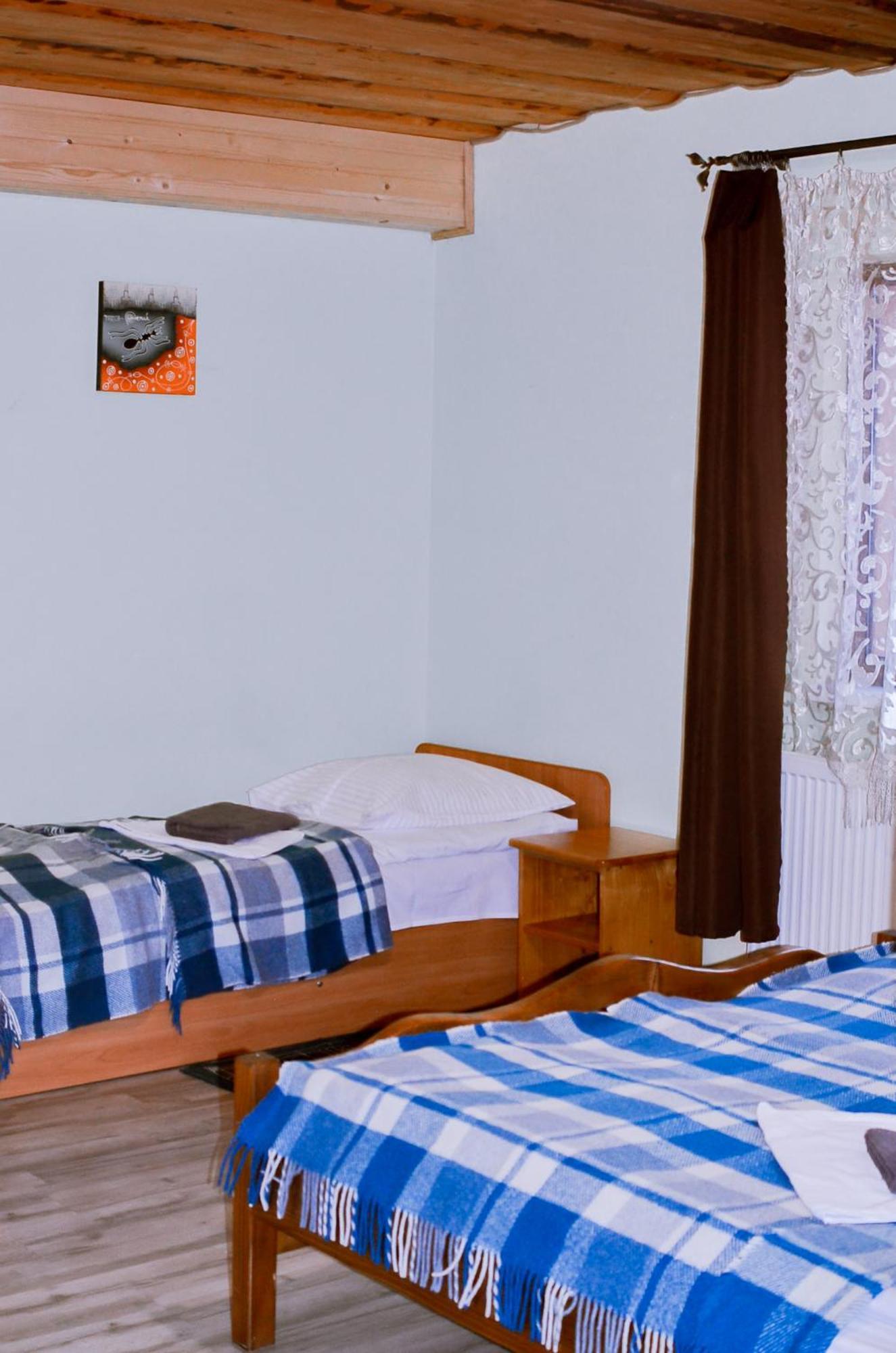 Guest House Mandrivnyi Rooms&Apartments Yasinya Luaran gambar